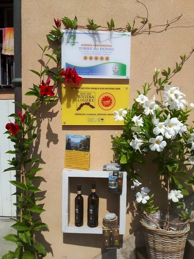 Loft Al Mare Villa San Lorenzo al Mare 0*,